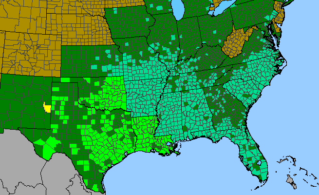 The range of Helenium amarum